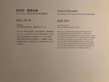 RED 红 [Fotografía del proyecto en la Bienal de Shanghai 2]