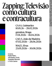 Zapping. Televisão como cultura e contracultura [Imagen identificativa]
