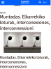 Muntadas. Elkarrekiko loturak, interconexiones, interconnessioni